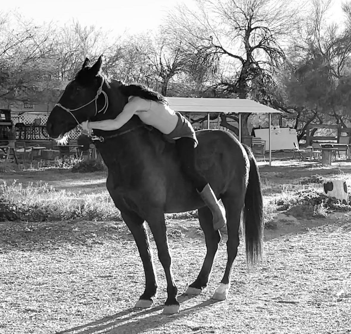 A rescued horse and human sharing a peaceful moment at EquiZen Sanctuary in Texas a nonprofit dedicated to equine healing and human connection.